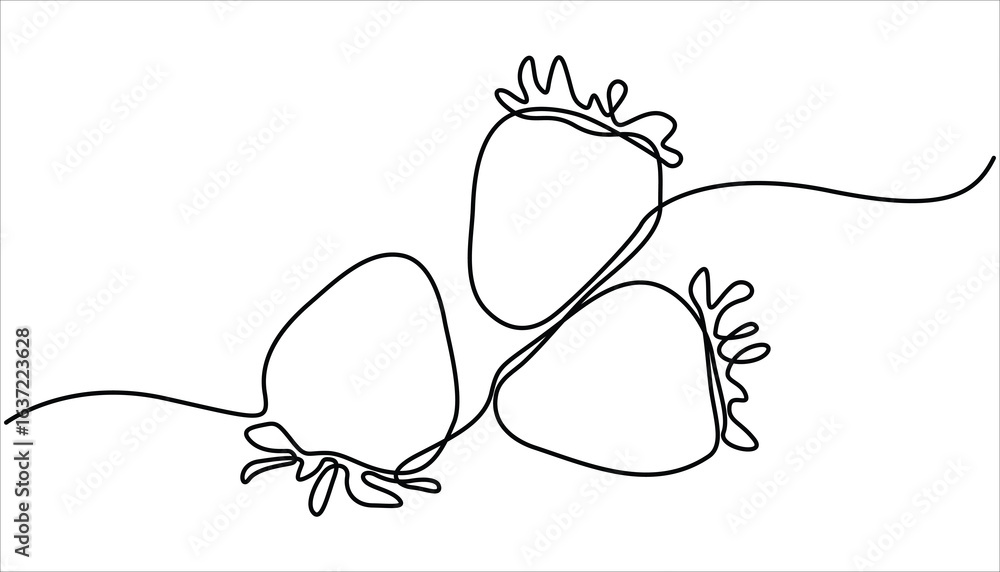 Poster vector illustration with continuous line drawing strawberries, single continuous line drawing of org