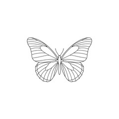 Fototapeta premium Printable butterfly color