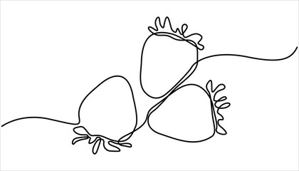 Vector illustration with continuous line drawing Strawberries, Single continuous line drawing of organic strawberry for fruit icon fresh berries fruitage concept, One continuous line drawing.