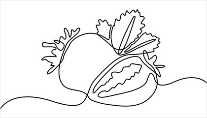 Vector illustration with continuous line drawing Strawberries, Single continuous line drawing of organic strawberry for fruit icon fresh berries fruitage concept, One continuous line drawing.