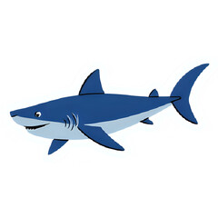 shark vector illustration