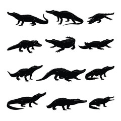 crocodile silhouette set, Black & White silhouette set