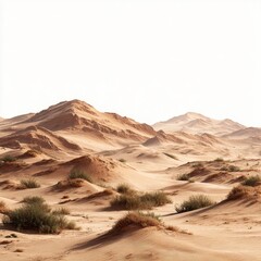 Naklejka premium Desert landscape with dunes and sparse vegetation