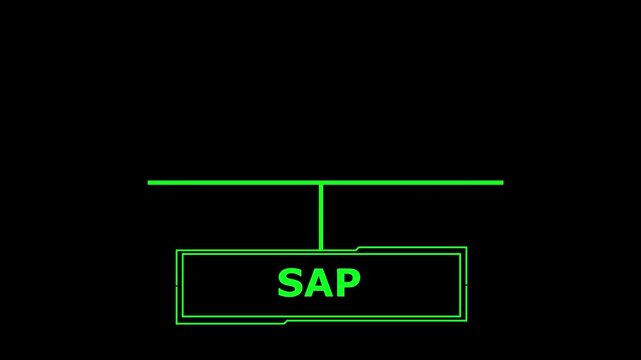 SAP System Software Automation concept transparent background 4K video information, insight marketing network service smart solution tech 4k animation...