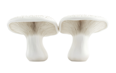 Two white facial cleansing brushes isolated on white background