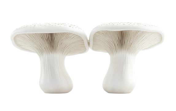 Two white facial cleansing brushes isolated on white background