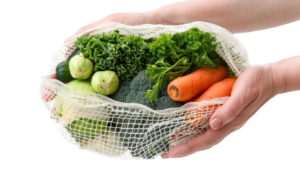 Fresh vegetables in a reusable mesh bag held by hands