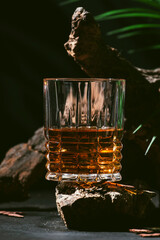 Single malt whiskey in glass. Dark background with old driftwood and big leaves