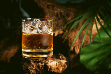 Blended whiskey in glass with ice cubes. Dusk background with old driftwood and deep green leaves