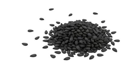 Image Processing Complete