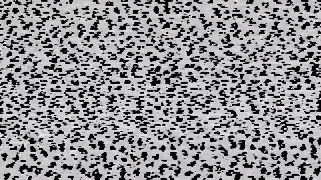 Closeup of Black and White Leopard Print Pattern Moving Gently Across Surface