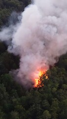 Forest Fire. Severe wildfire. Natural wildfire. Wildfire background