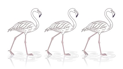 Obraz premium Three flamingo illustrations isolated on white background in a row