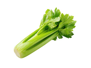 Fresh green celery stalks with leafy tops isolated on black leaves, Isolated, Png Transparent Background