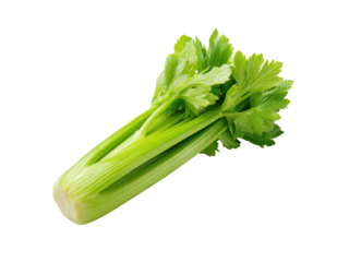 Fresh green celery stalks with leafy tops isolated on black leaves, Isolated, Png Transparent Background