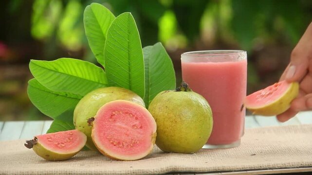 Red guava juice, guava juice or Psidium Guajava garnished with fresh red guava pieces and decorated with lush guava leaves