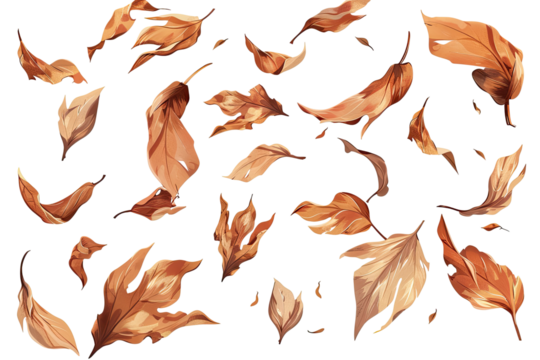 Dried leaves scattered, a fall scene