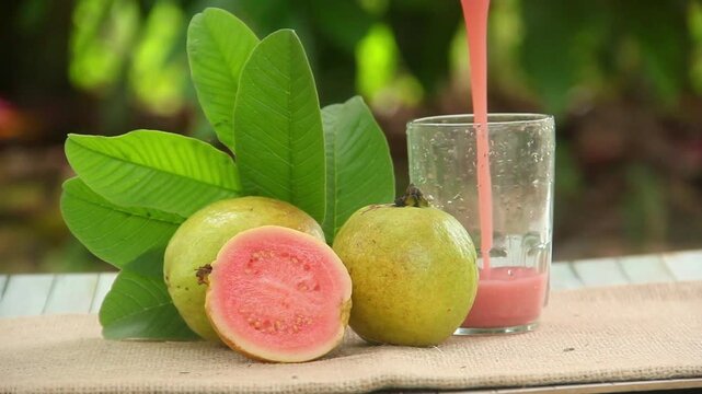 Pouring red guava juice or Psidium guajava into a glass and decorating it with guava slices around it