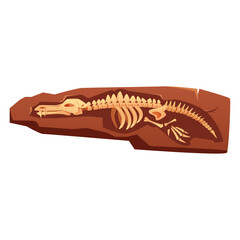 Ancient marine reptile fossil skeleton preserved in rock sediment