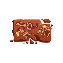 Prehistoric Dinosaur Fossils and Skeletons Unearthed in Rock Strata © ADIMOTION Studio