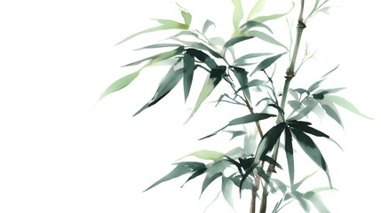 Naklejka premium Delicate bamboo illustration in muted tones.