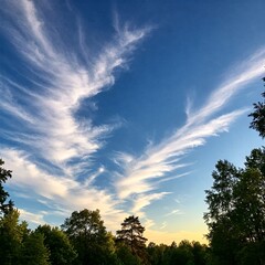 Fototapeta premium Sun light orange clouds on the sky in the forests