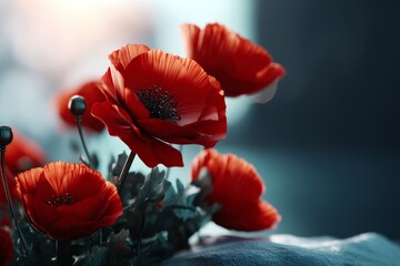 Close-up view of vibrant red poppies.