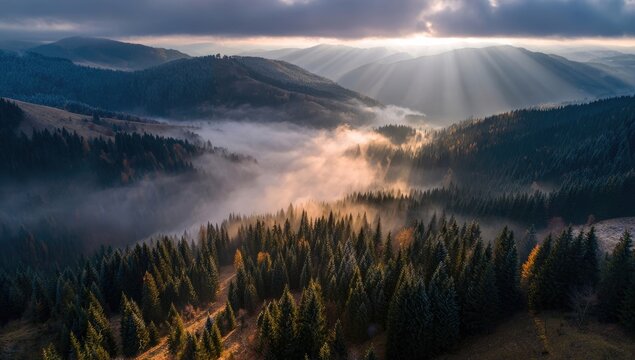 Misty mountain sunrise, sunbeams pierce clouds over forested hills