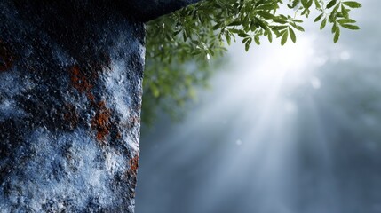 Textured dark rock against soft fog and bright sunbeams filtering through green leaves