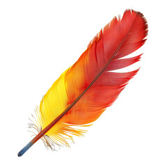 Vibrant multicolored bird feather