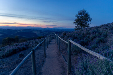 sunset with mountains view in cunha in sao paulo, with view to lavender field.