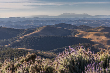 sunset with mountains view in cunha in sao paulo, with view to lavender field.