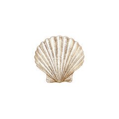Elegant Scallop Shell Vintage Illustration on