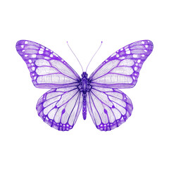 Intricate Purple Butterfly Illustration -