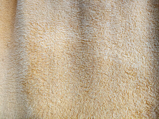 Soft yellow plush fabric texture for a warm and cozy background