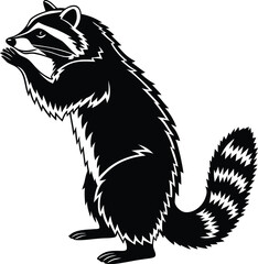 Upright raccoon standing with bushy tail and hands in front silhouette