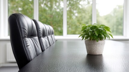Black leather chairs lined up at a meeting table with a potted plant and large window view