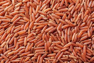 Cereal grains of red rice. Macro shot
