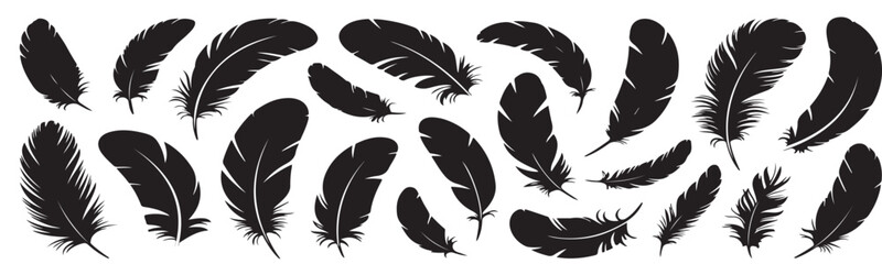 Obraz premium Birds wings, feather, flight, freedom, nature, travel, aviation, fly, soaring, spread, motion, ornithology, isolated element, simple vector graphic