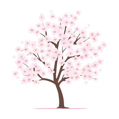 Japanese cherry tree,vector