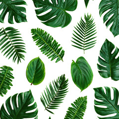 Various tropical leaves arranged artistically on a white background showcasing vibrant green colors and diverse shapes