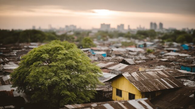 Dense urban settlement with corrugated tin roofs and a large green tree cityscape background