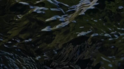 Close-up video of rippling water surface, capturing dynamic textures and reflections. Shot from a low angle for an immersive feel.