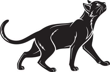 Black cat silhouette looking up on white background