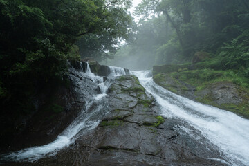 雨上がりの霧の朝の四十三万滝