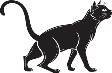 Black cat standing looking up with white outline animal