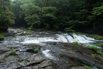 夏の朝の雨上がりの広河原