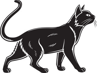 Black cat walking with tail up on white background