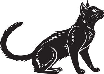 Black cat sitting looking up on white background feline