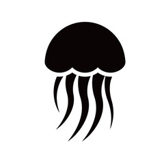 silhouette image of a jellyfish with a transparent background